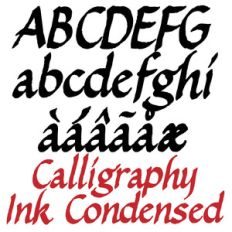 ld calligraphy ink condensed