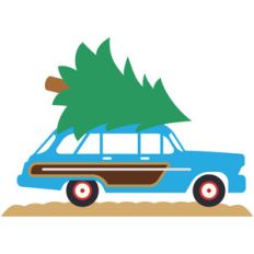 christmas tree car ride