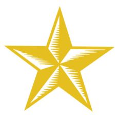 holiday star