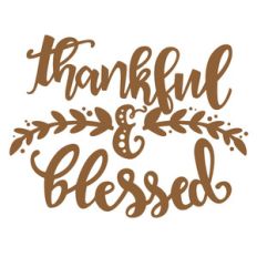 thankful and blessed phrase