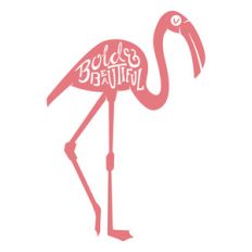 bold and beautiful flamingo