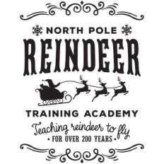 reindeer training academy