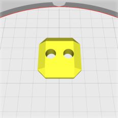 faceted button