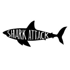 shark attack