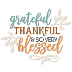 grateful, thankful, so very blessed