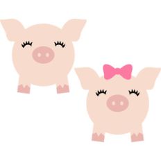 cute pigs