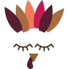 turkey face and feathers