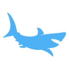 shark silhouette