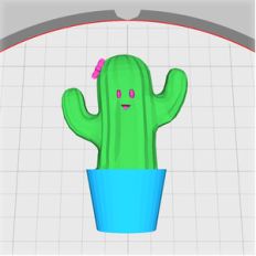 potted cactus