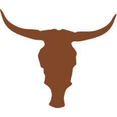 longhorn skull