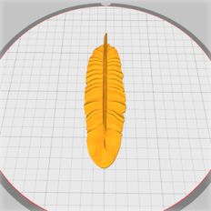 feather embellishment