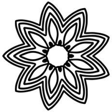 star flower