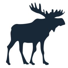 moose