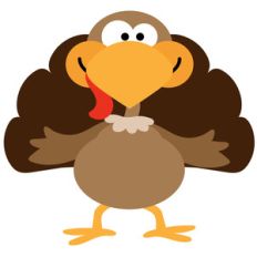 mcstuffin turkey