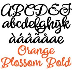 zp orange blossom bold