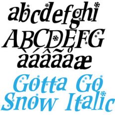 zp gotta go snow italic