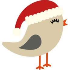 bird of christmas