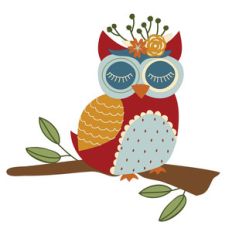 owl