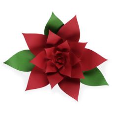 festive poinsettia flower