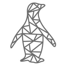 geometric penguin