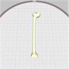 bone pendant
