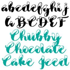 kb chubby chocolate cake iced