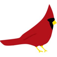 cardinal bird