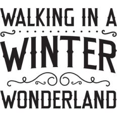 walking in a winter wonderland