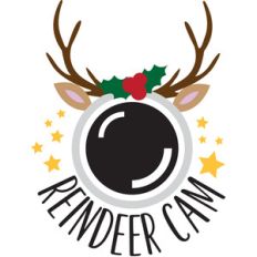 reindeer cam