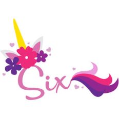 birthday unicorn six