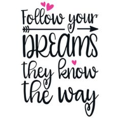 follow your dreams arrow quote