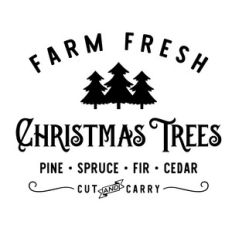 christmas trees cut carry