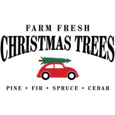 farm farm christmas trees car