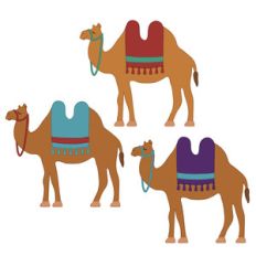 camels nativity