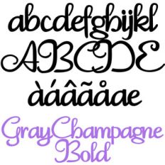 pn gray champagne bold
