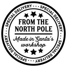 special delivery from the north pole