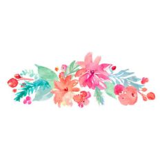 colorful poinsettias and leaves
