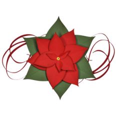 poinsettia with flourish