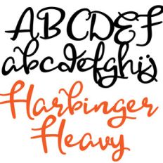 pn harbinger heavy