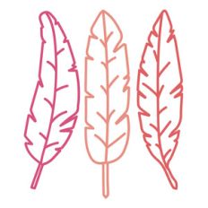 feathers
