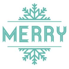 merry snowflake