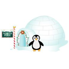 penguin at north pole home