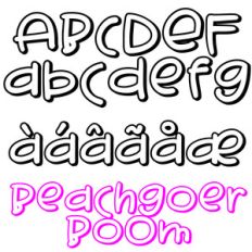 pn beachgoer boom