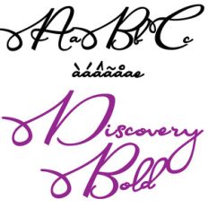 zp discovery bold