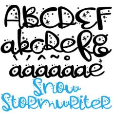 pn snow stormwriter