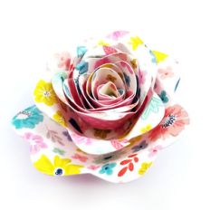rolled flower