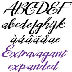 zp extravagant expanded