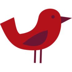 bird