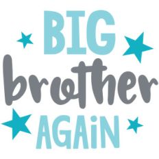 big brother again