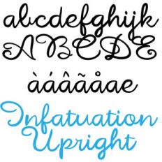 zp infatuation upright